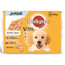 Imagem do produto Alimento de Cão Húmido Junior