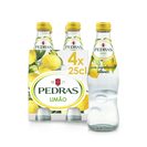 Imagem do produto Água Com Gás Sabor Limão