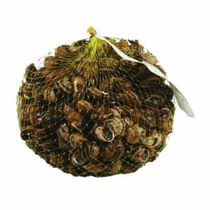 Caracoletas em Saco - Embalagem 1 Kg product image