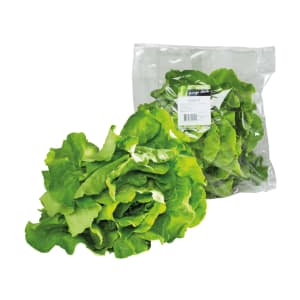 Imagem do produto Alface Lisa Pingo Doce - Embalagem 0.15 Kg