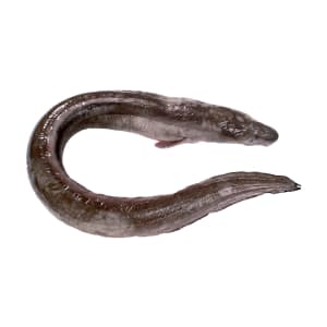 Safio - Unidade 2 Kg product image