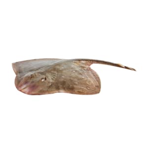 Raia - Unidade 2.2 Kg product image