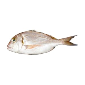 Pargo 200/600 - Unidade 0.5 product image