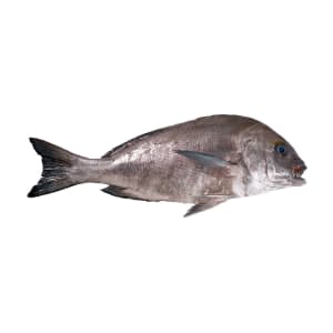 Pargo Mulato - Unidade 0.95 Kg product image
