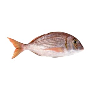 Pargo Grande - Unidade 1 Kg product image