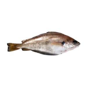 Imagem do produto Faneca - Unidade 0.15 Kg