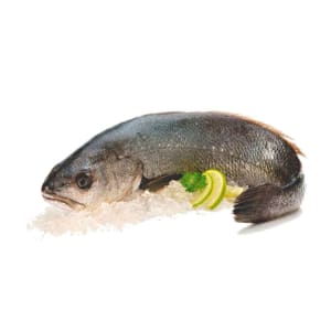 Imagem do produto Corvina de Aquacultura - Unidade 2.5 Kg