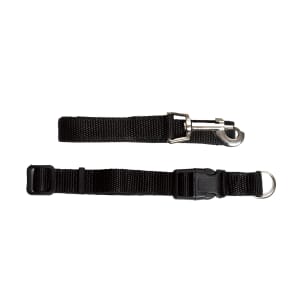 Imagem do produto Trela e Coleira para Cão Nylon Jomafe